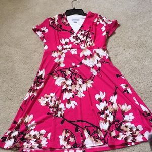 North style petite small dress. Red floral print.